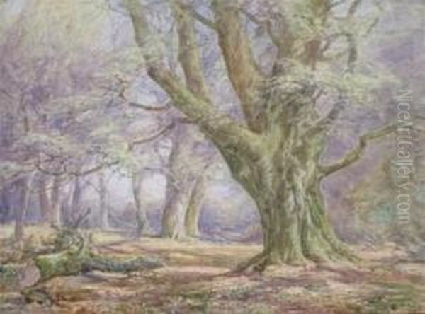 New Forest Scene - view 1