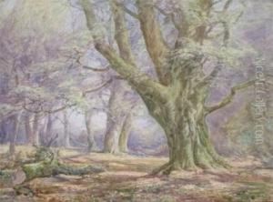 New Forest Scene