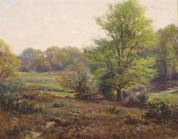 Near Emery Down, New Forest - view 1