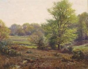 Near Emery Down, New Forest