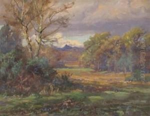 New Forest Scene