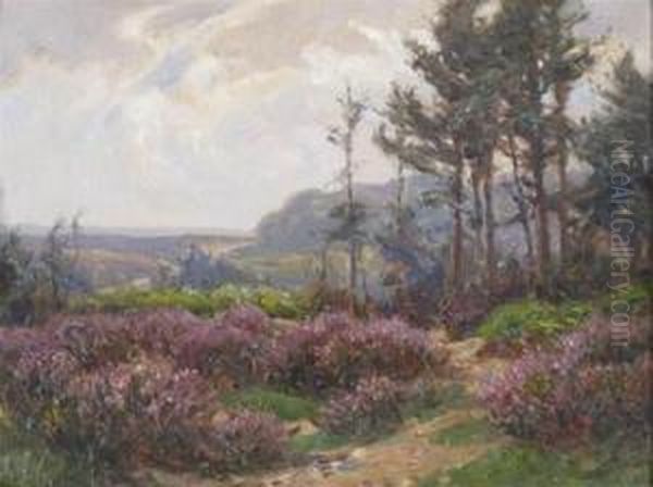New Forest Heather - view 1