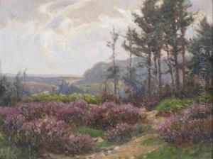 New Forest Heather by Frederik Golden Short