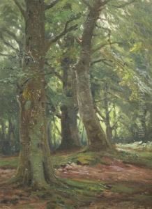Woodland Scene And Hampshire Heathland by Frederik Golden Short