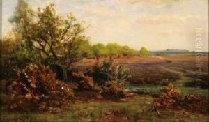 Near Ipley, New Forest