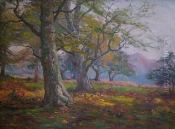 New Forest Scene In Late Summer - view 1