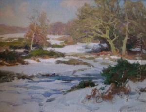 Winter Afternoon