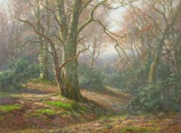 New Forest Scene In Autumn - view 1