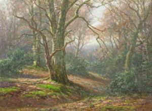 New Forest Scene In Autumn by Frederik Golden Short