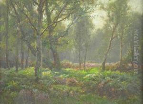 New Forest Scene - view 1