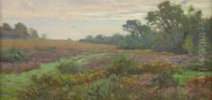 New Forest Scene