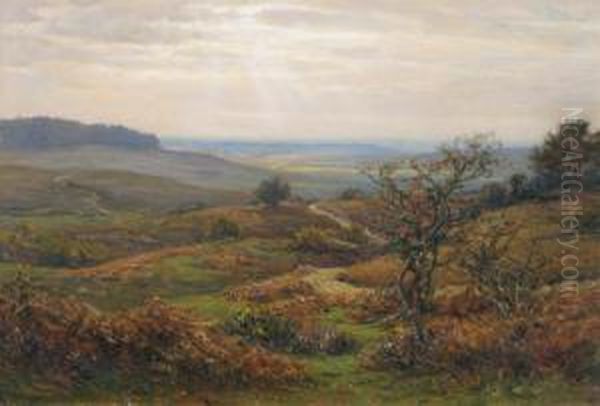 Near Burley In The New Forest - view 1