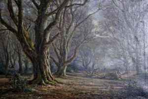 Woodland Scene Woodland Scene