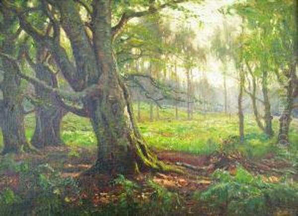 New Forest Scene In Summer - view 1