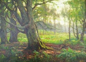 New Forest Scene In Summer