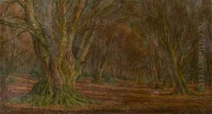 Woodland Glade by Frederik Golden Short