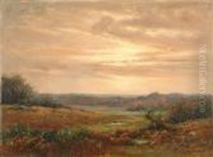 Across Thefields Across Thefields