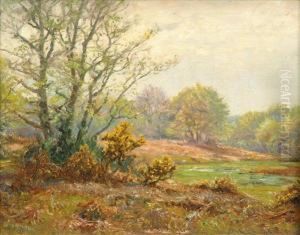 Woodlandlandscape Woodlandlandscape
