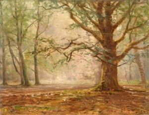 Woodlands by Frederik Golden Short