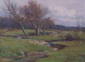 A Brookwith Trees