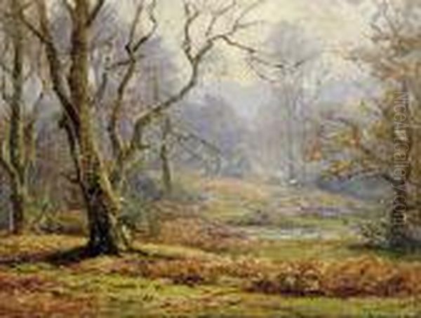 In The Forest - view 1