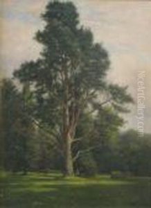Figure Seated Beneath A Tree In Parkland Signed And Dated 1906 30 X 22in