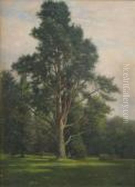 Figure Seated Beneath A Tree In Parkland - view 1