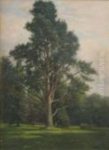 Figure Seated Beneath A Tree In Parkland