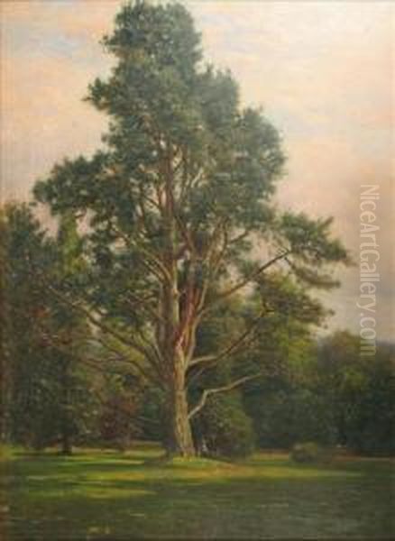 Ladyresting Under A Tree, New Forest - view 1