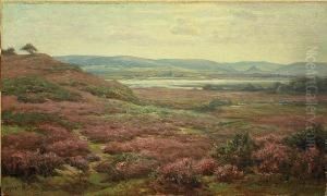 Heather In The Purbecks With Distant View Of Corfe Castle by Frederik Golden Short