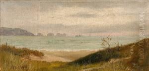 The Needles, Isle Of Wight by Frederik Golden Short