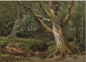 Summertime In The New Forest