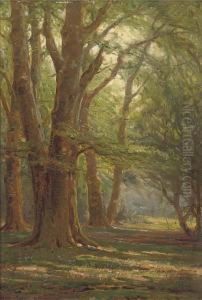 A Sunlit Forest by Frederik Golden Short