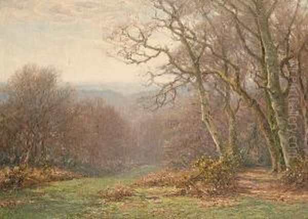 A Woodland Lane - view 1