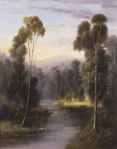 Mount Riddell From The Grace Burn River