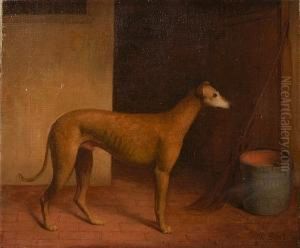 Portrait Of A Greyhound