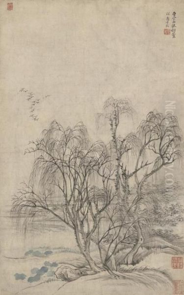 Willows - view 1