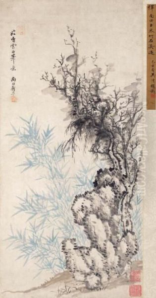 Ancient Tree And Rock - view 1