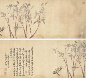 Orchids by Yun Shouping