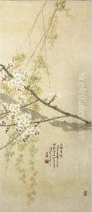 Plum Blossom And Willow
