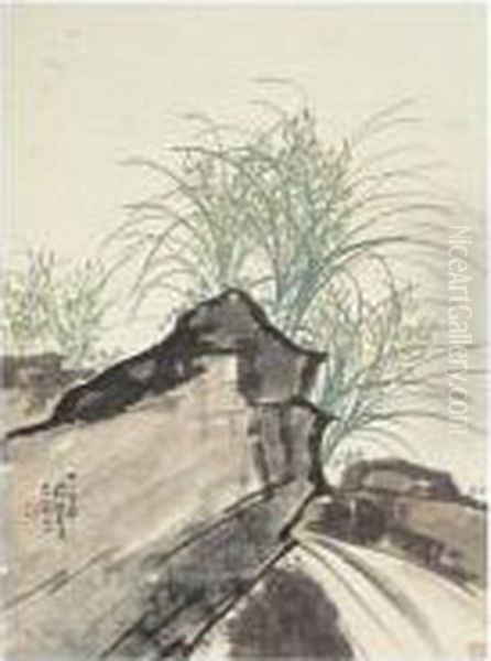 Orchid - view 1