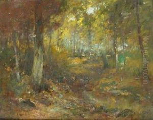 Woodland Interior - view 1