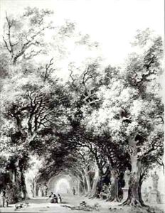 The shady alley