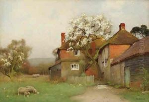 Sheep Grazing By A Cottage Sheep Grazing By A Cottage