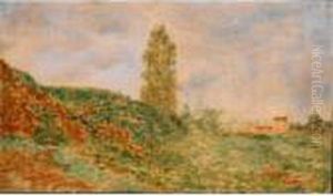 Paesaggio Paesaggio