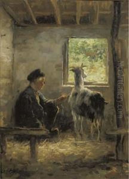 Tending To The Goat - view 1