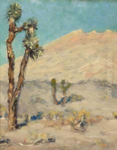 Joshua Tree - Mojave Desert