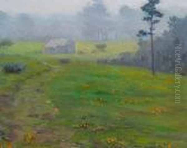 Poppy Hill In Fog - view 1