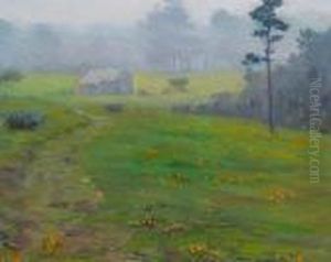 Poppy Hill In Fog
