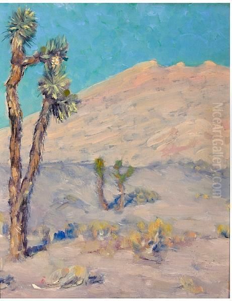 Joshua Tree, Mojave Desert (no. 346) - view 1